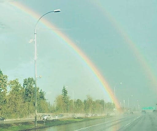 national-rainbow-baby-day-august-22-2023-national-today